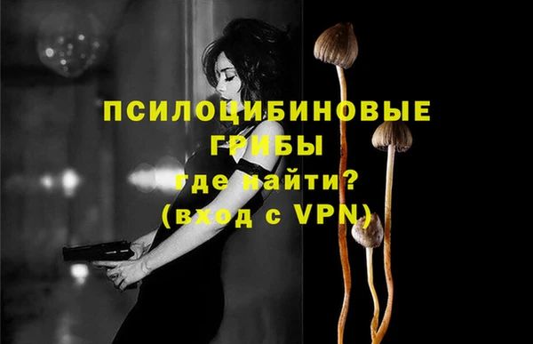 наркотики Белокуриха