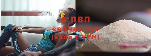 каннабис Беломорск