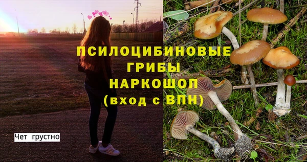 наркотики Белокуриха