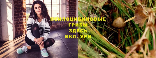 наркотики Белокуриха