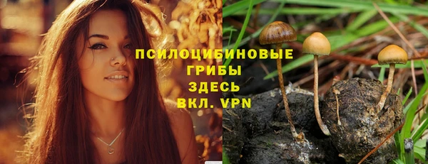 каннабис Беломорск