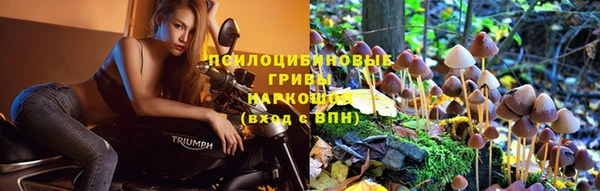 каннабис Беломорск