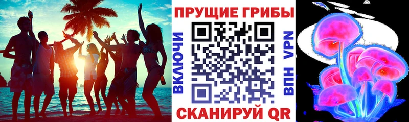 маркетплейс состав  Волосово  Псилоцибиновые грибы Cubensis 